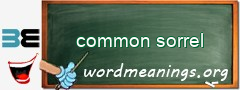 WordMeaning blackboard for common sorrel